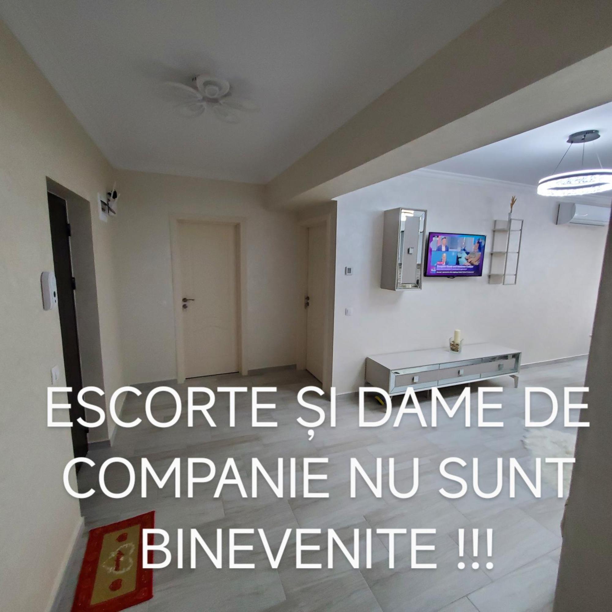 Luxury Apartament Bacovia Bacău Extérieur photo